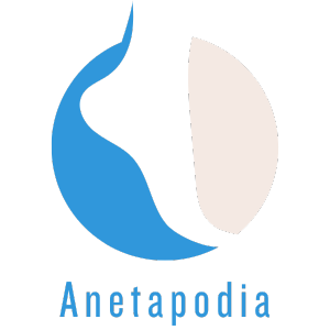 Λογότυπο Anetapodia.gr